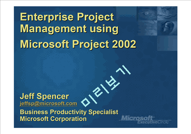 MICROSOFT EnterpriseProject   (2 )